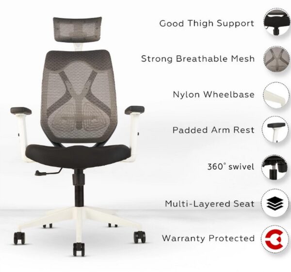  4-way adjustable lumbar support [cite: 8]