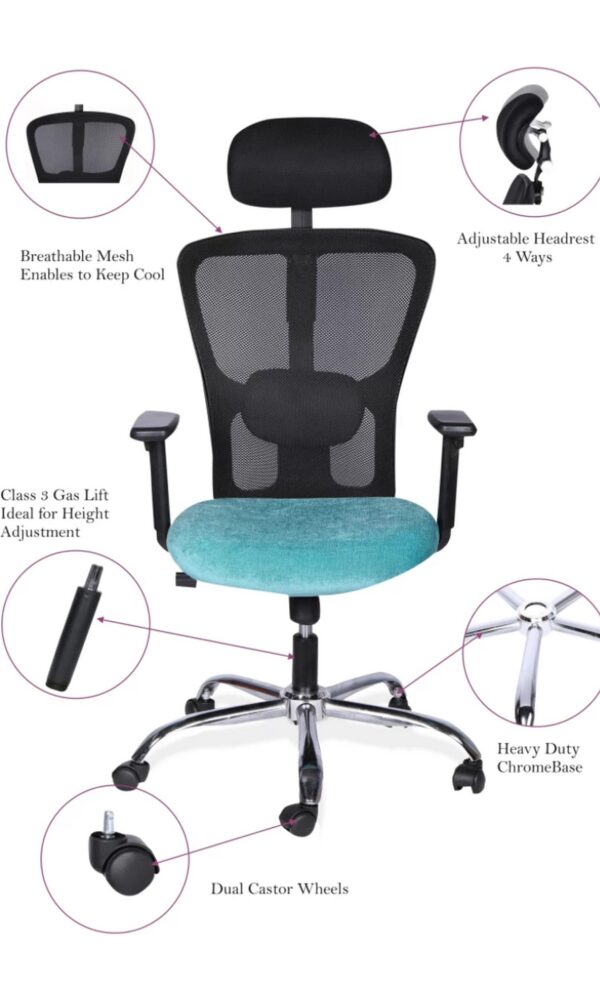  Dimensions: H115-125cm W64cm D50cm [cite: 17